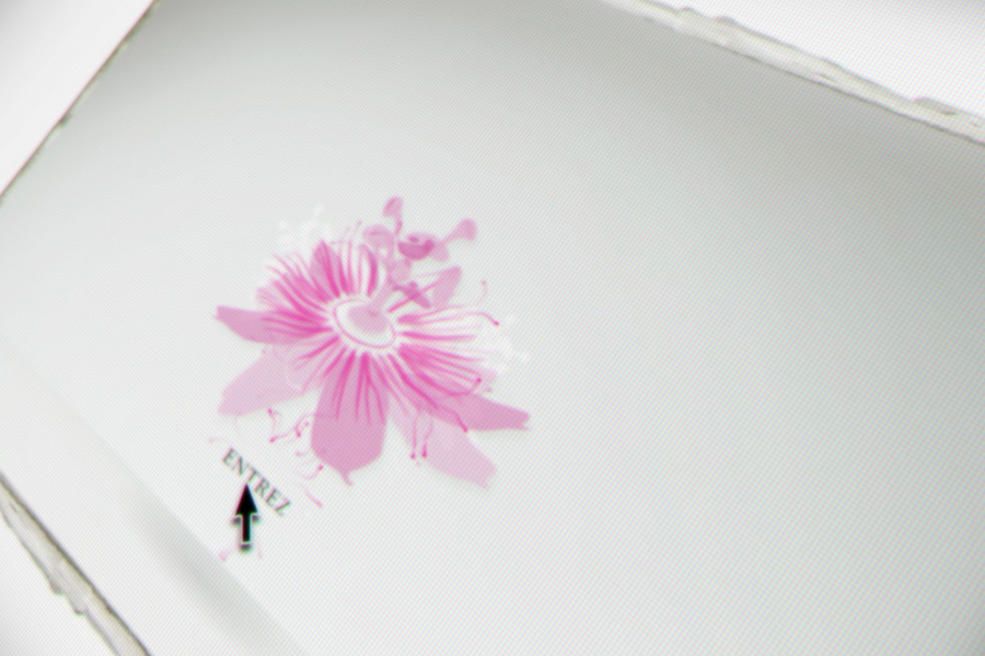 content-width-black-woman-3